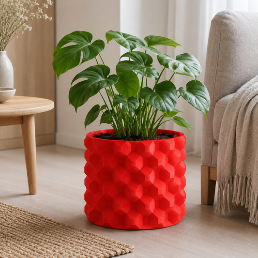 Bloom saksija sa geometrijskom saćastom teksturom, sa monstera biljkom, u modernom dnevnom boravku