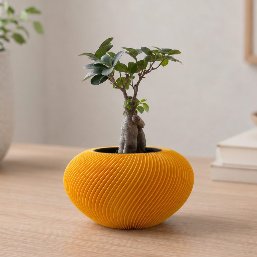 Royal saksija sa bonsai drvetom na drvenom stolu